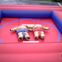 Sumo Wrestling, Sumo Game, Novelty Sumo Wrestling, Foam Sumo Suits ...