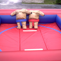 blow up sumo wrestler game